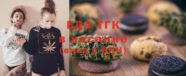 гидра Горняк