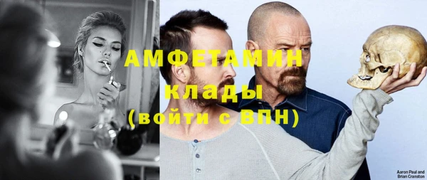гидра Горняк