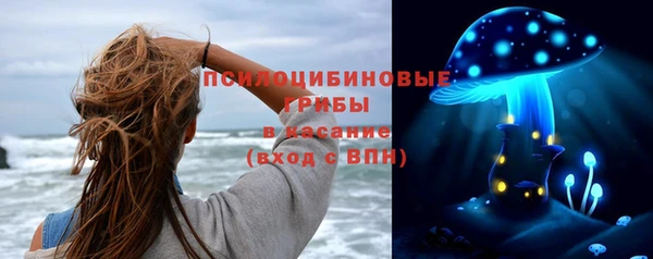 mdma Горнозаводск