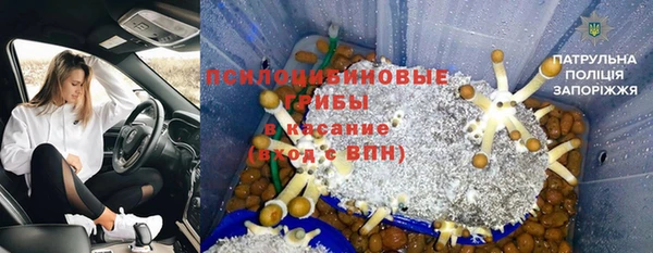гидра Горняк
