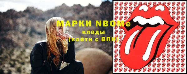 гидра Горняк