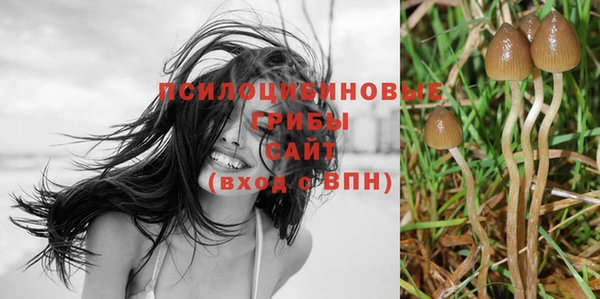 mdma Горнозаводск