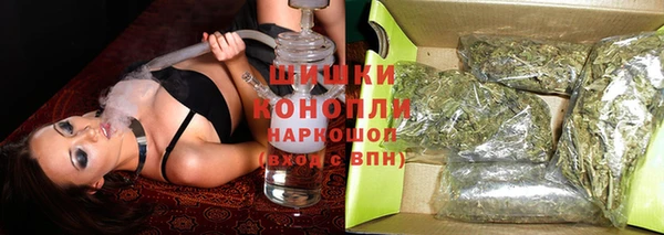 гидра Горняк