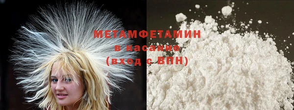 гидра Горняк