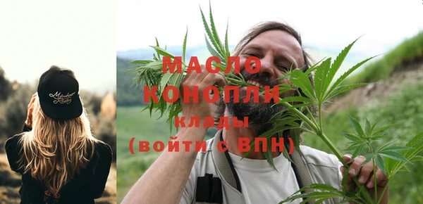 гидра Горняк