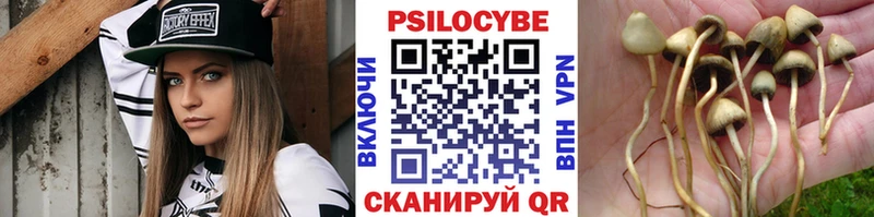Галлюциногенные грибы прущие грибы  Заполярный 
